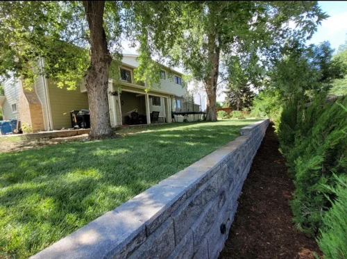 collective-concepts-lakewood-co-2026-02-12T153340.263943Z-64013 (1)
